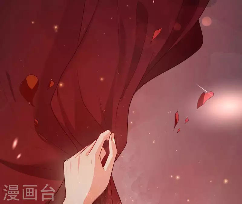 最终话 喜结连理 第113页