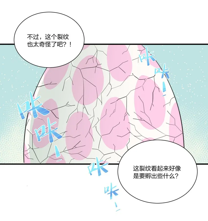 001 遭遇野生精灵，竟然是个？！ 第12页
