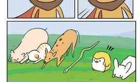 42 第13页