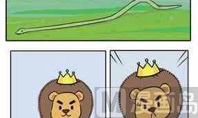 42 第84页