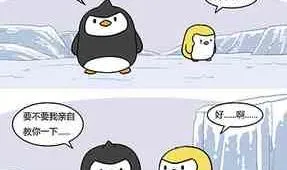 41 第20页