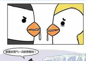 41 第26页