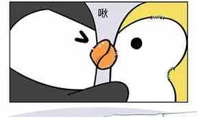 41 第31页