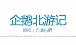 39 第55页