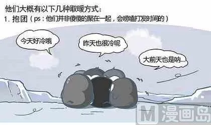 33 第3页