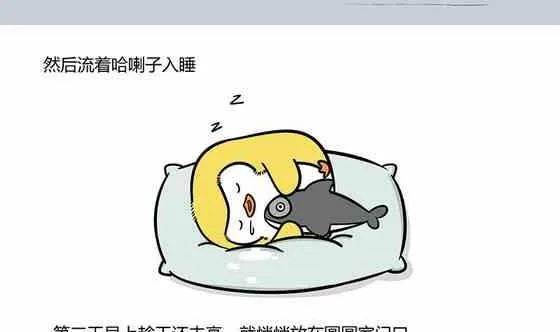27 第11页