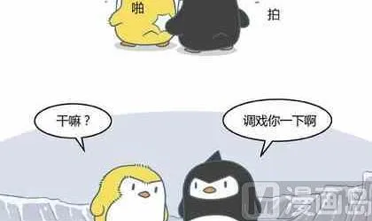 5 第3页