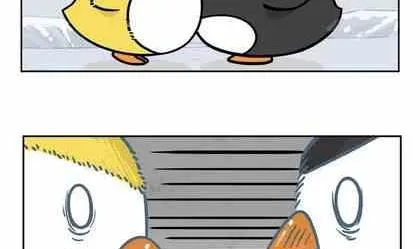 5 第10页