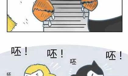 5 第11页