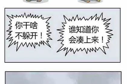 5 第13页