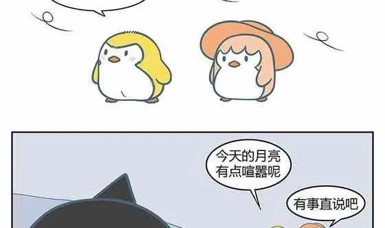 17 第8页
