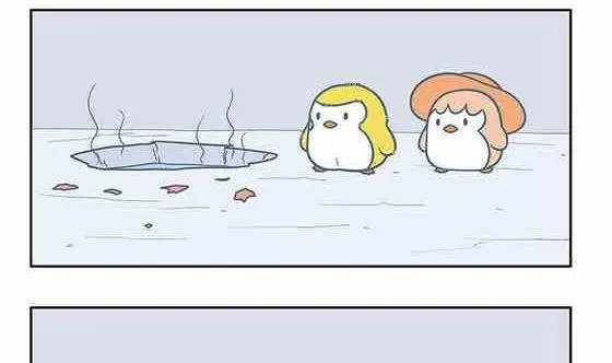 17 第14页