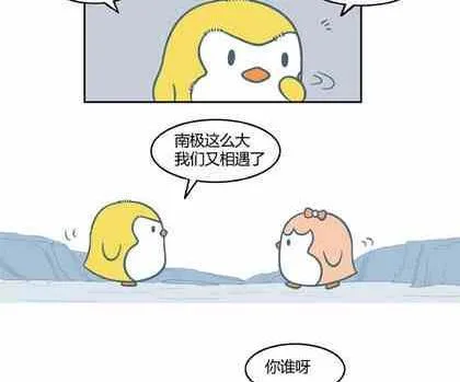 20 第10页