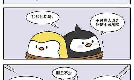 21 第14页