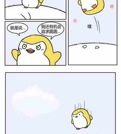 26 第14页