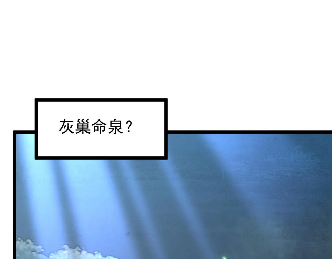 135 灰巢命泉 第12页