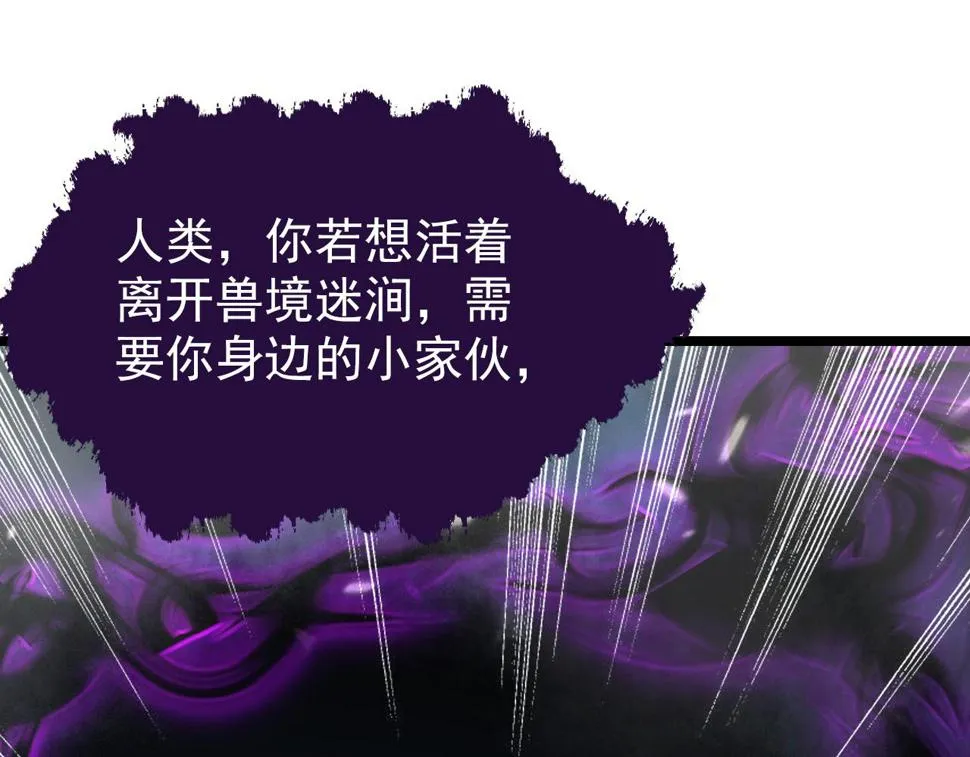 153 小家伙的蜕变 第52页