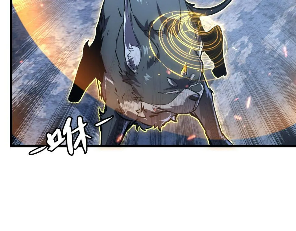 153 小家伙的蜕变 第116页