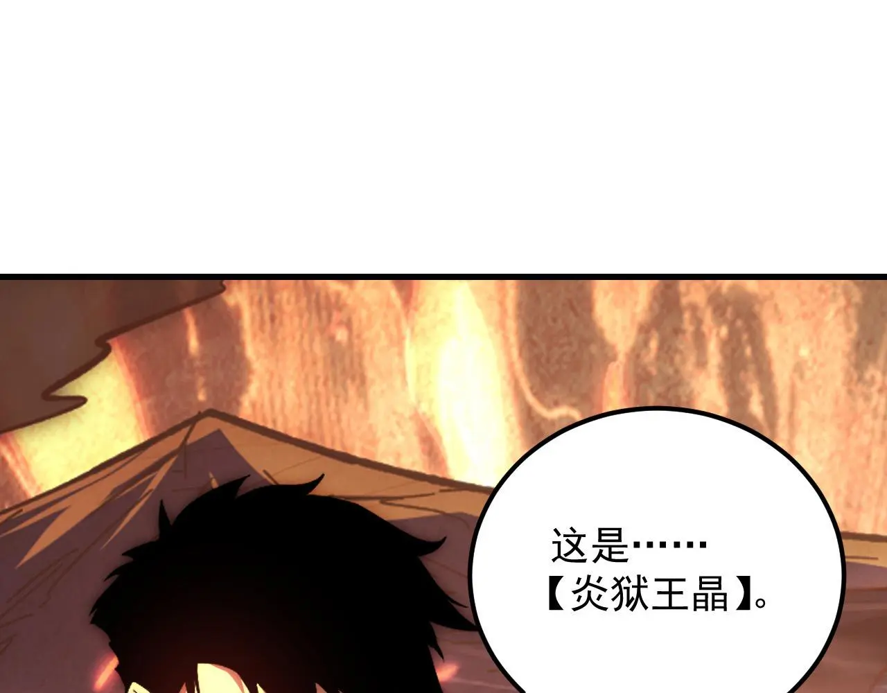214 主宰级兽王的注视 第49页