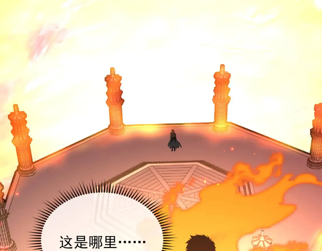 223 无法掌握的技能！ 第49页