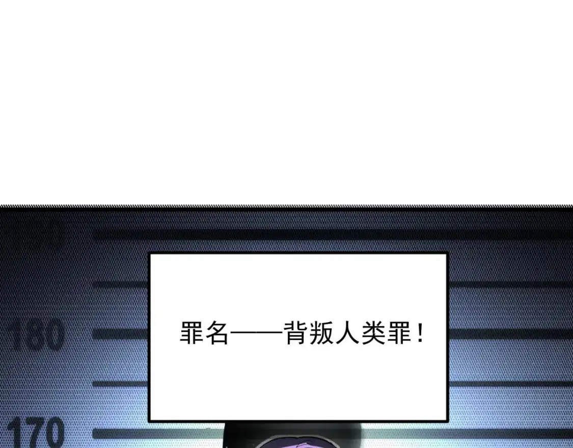 238 英雄表彰大会 第12页