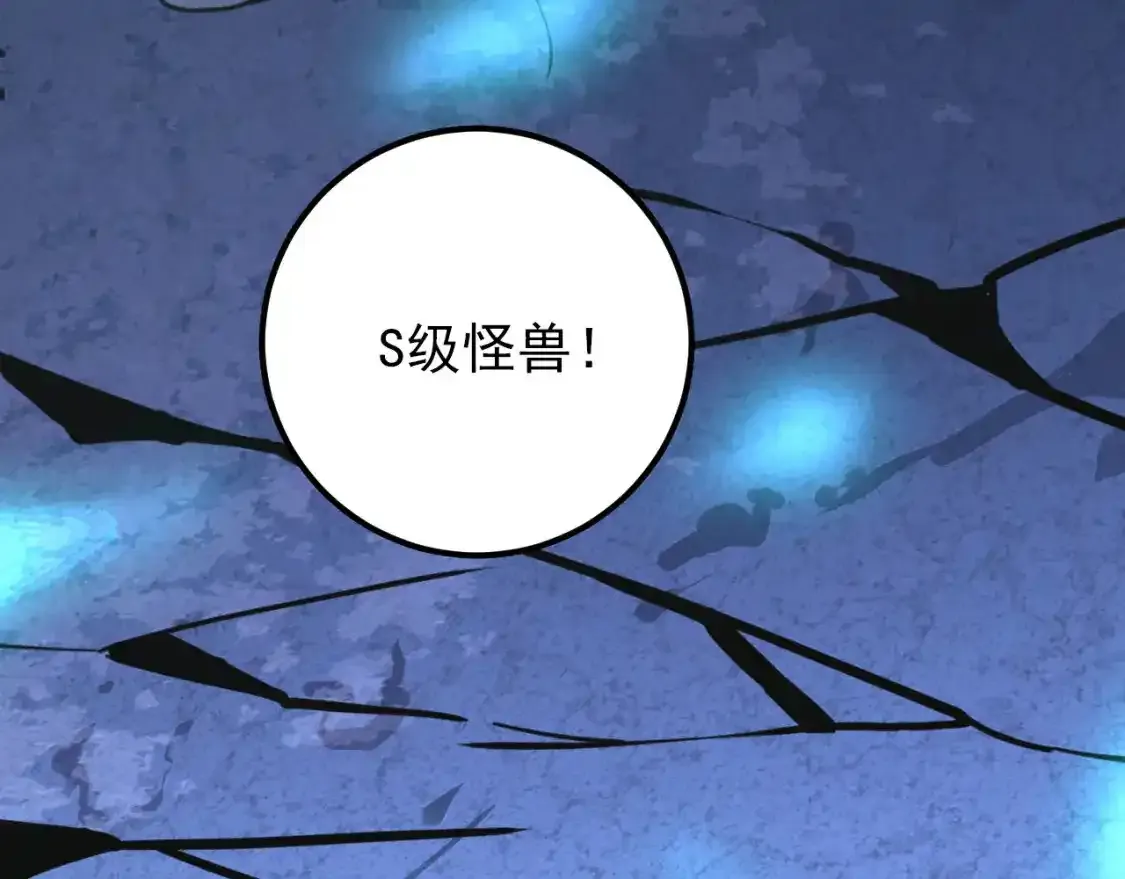 118 S级的鸿沟 第72页