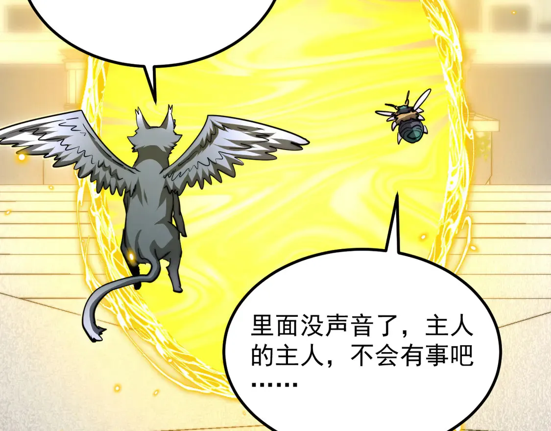 268 传承·领域之极 第63页