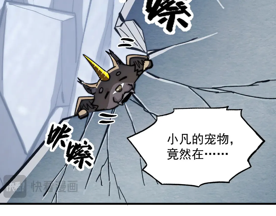 276 小家伙的彻底蜕变 第83页