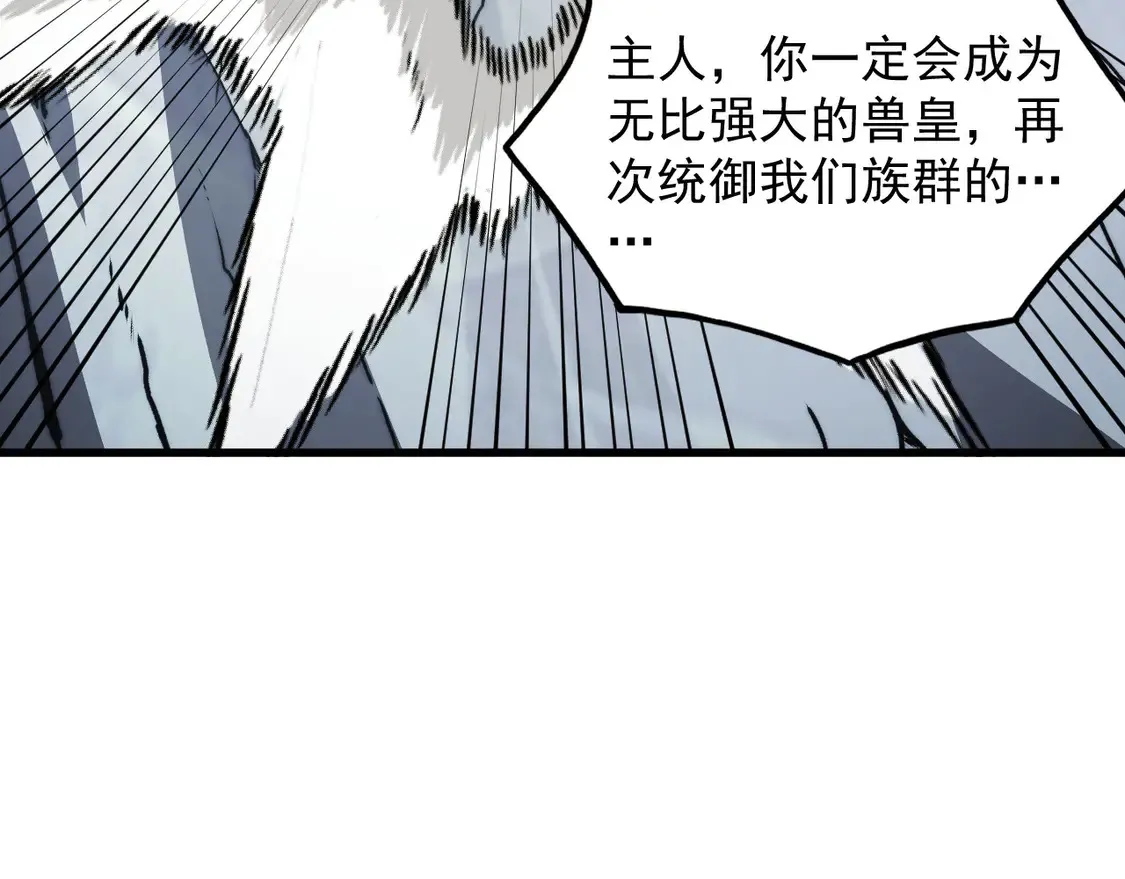 276 小家伙的彻底蜕变 第96页