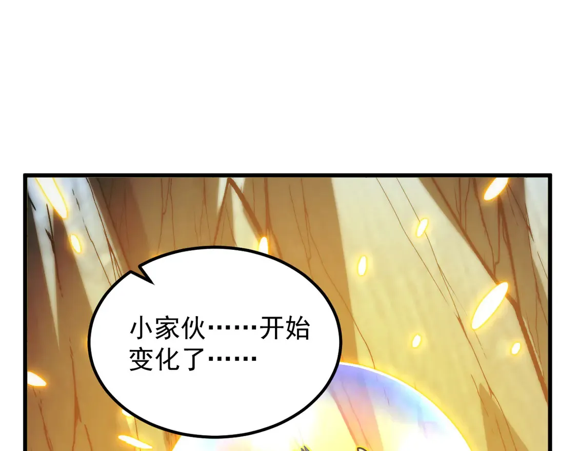 276 小家伙的彻底蜕变 第109页