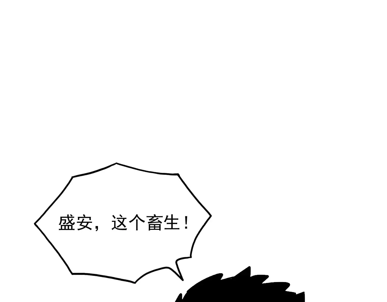 281 盛安的底牌！ 第13页
