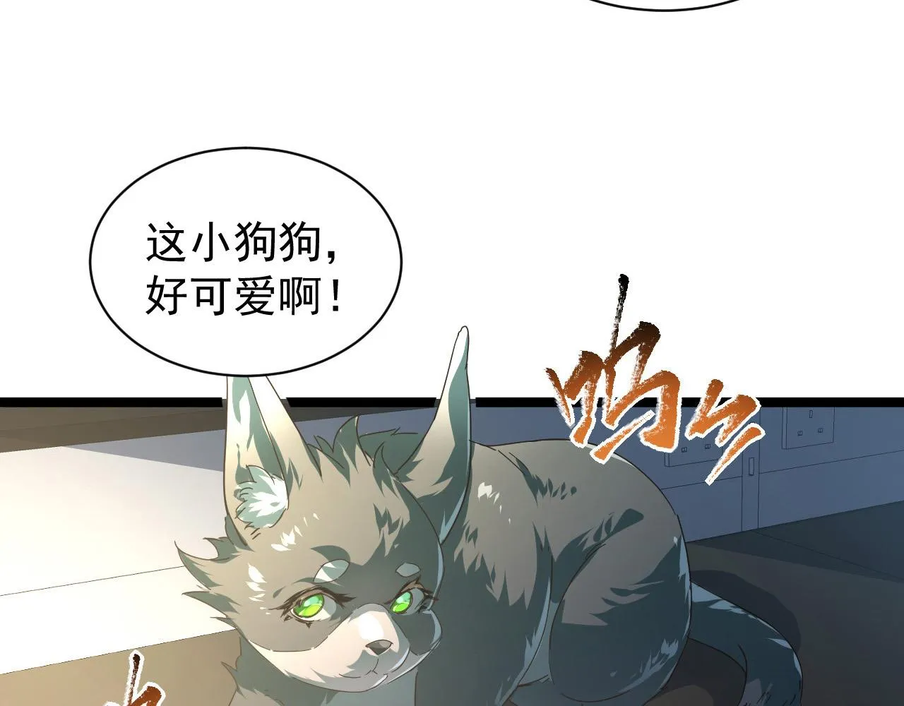 082 孵化 第75页