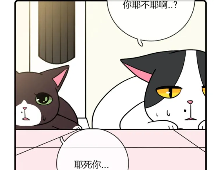 第35话 第40页