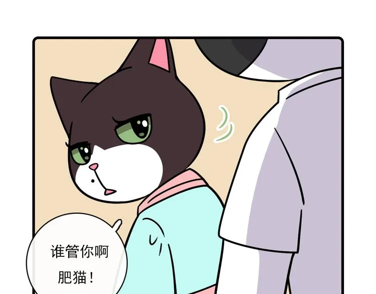 第33话 第41页
