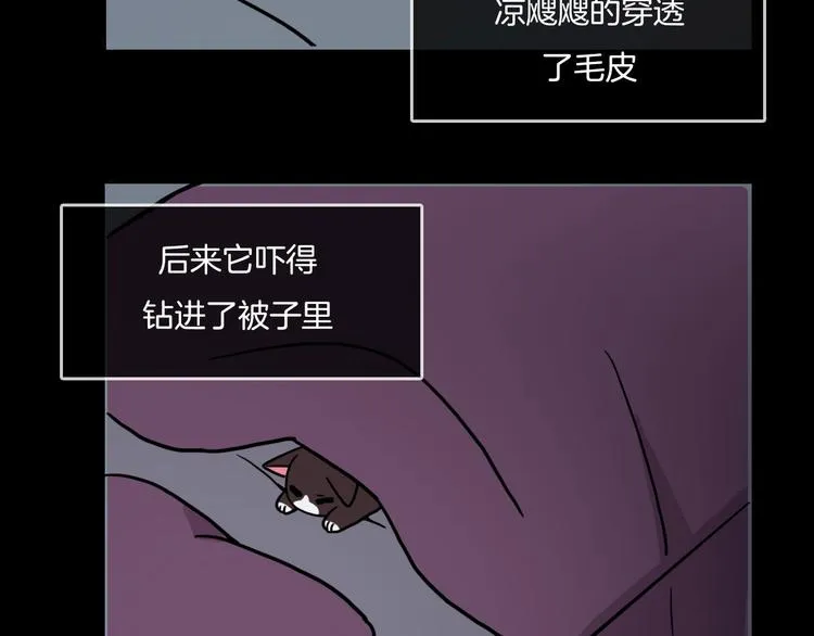 第31话 第13页