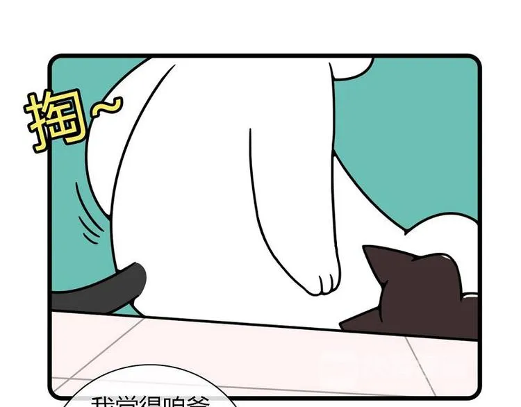 第19话 第24页