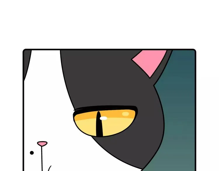 第15话 第13页