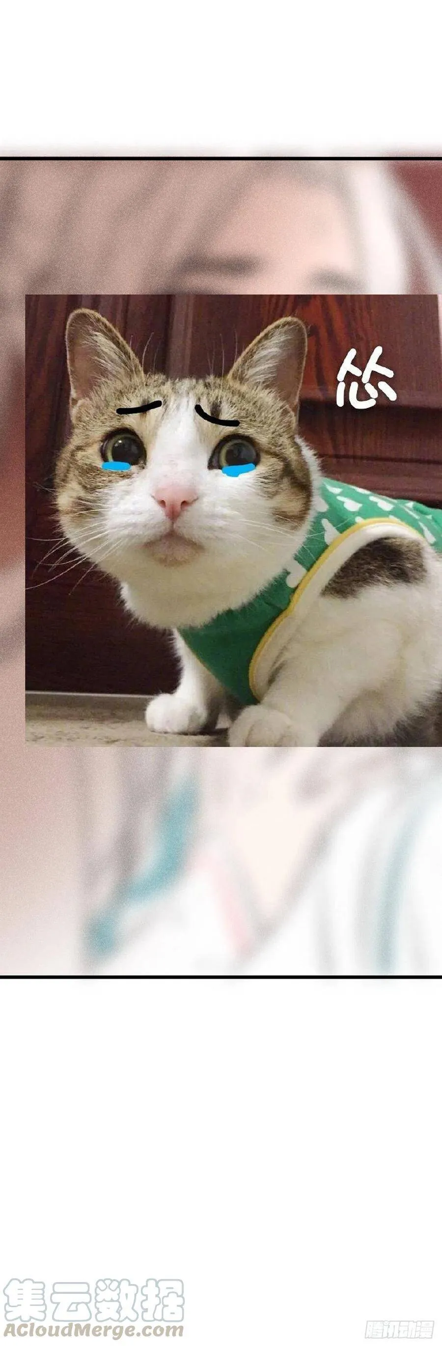 71·意乱迷情（上） 第29页