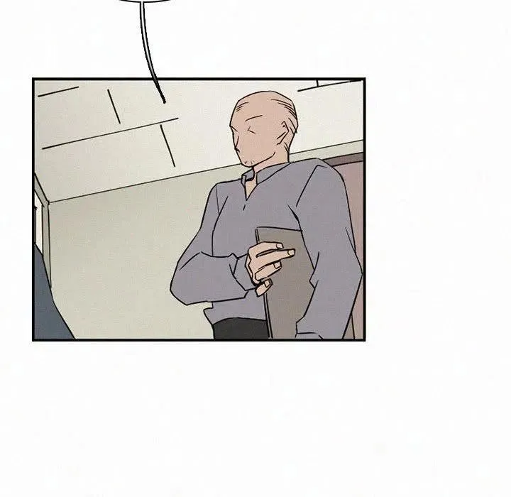 48 第6页