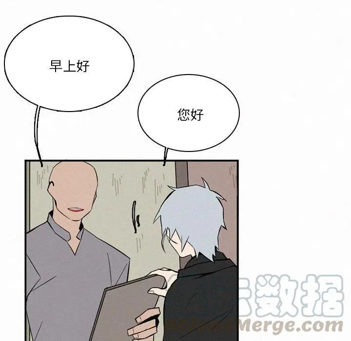 48 第25页
