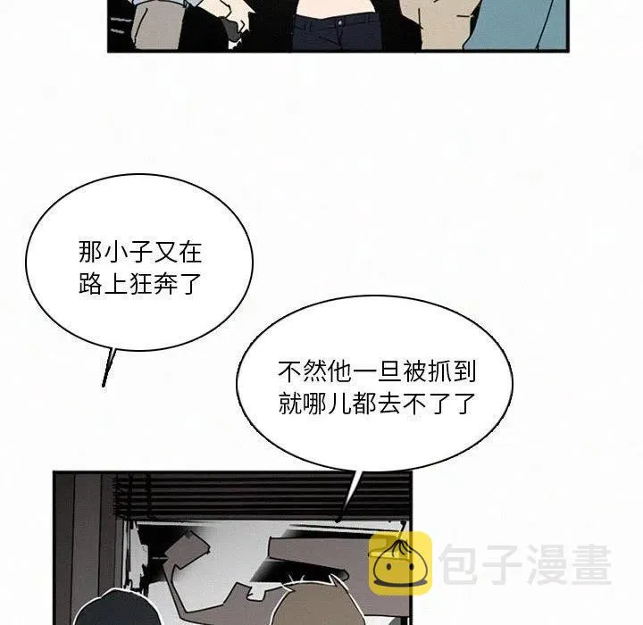 48 第82页