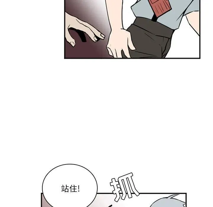 48 第135页