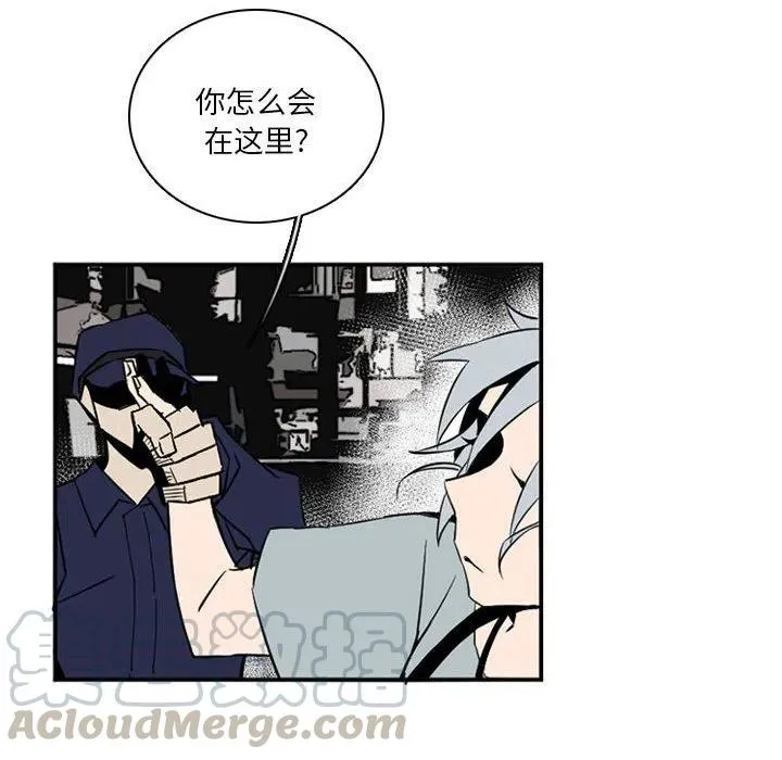 48 第137页