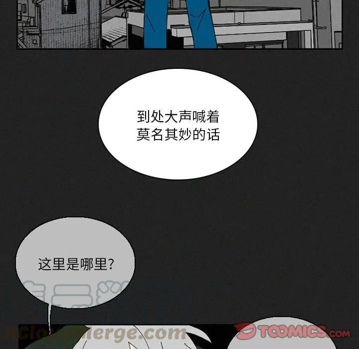 48 第185页