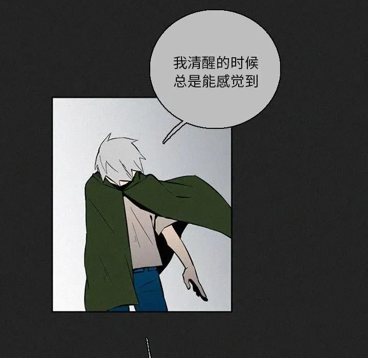 48 第196页