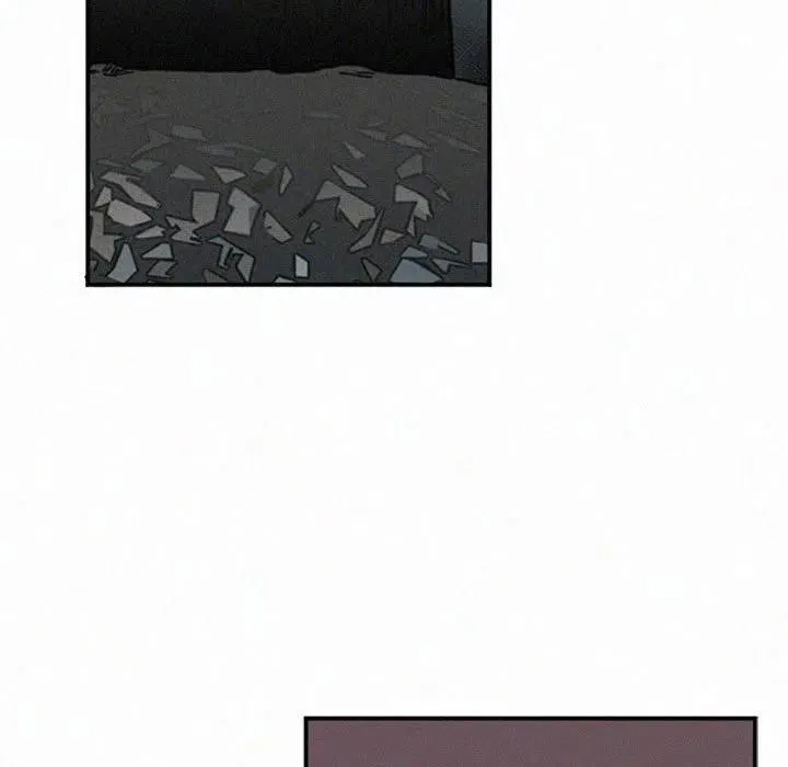48 第223页