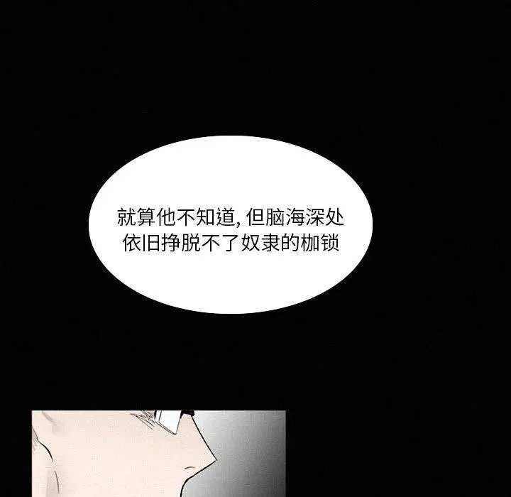 48 第259页