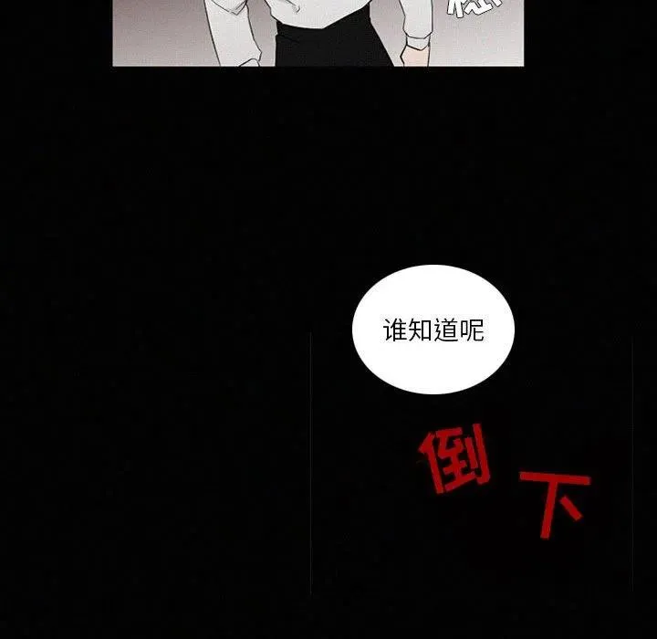 48 第262页