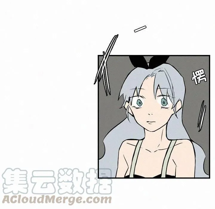 47 第13页