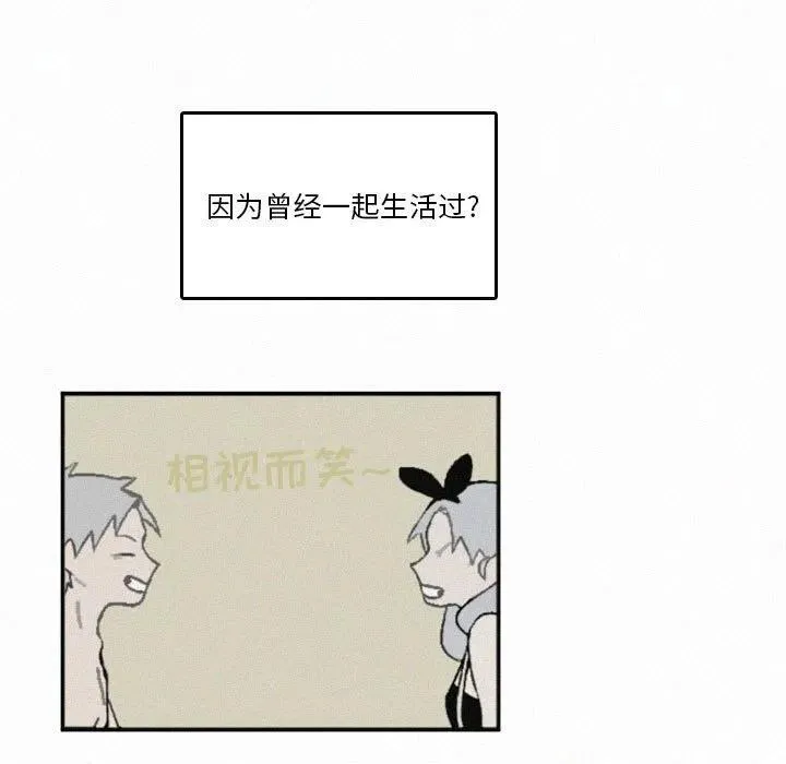 47 第43页